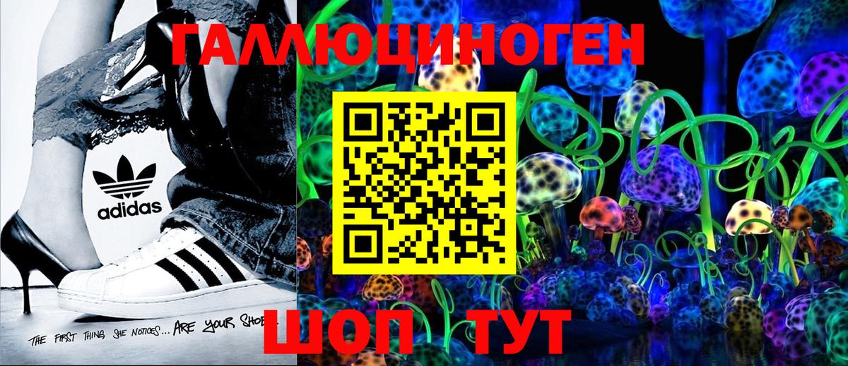 Галлюциногенные грибы MAGIC MUSHROOMS  Вход с VPN  Шатура  Галлюциногенные грибы прущие грибы 